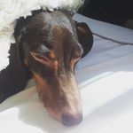 Profile Picture of Duddley James (@duddley_james) on Instagram