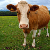 Profile Picture of KrySan (@krystianzaklika5908) on Youtube