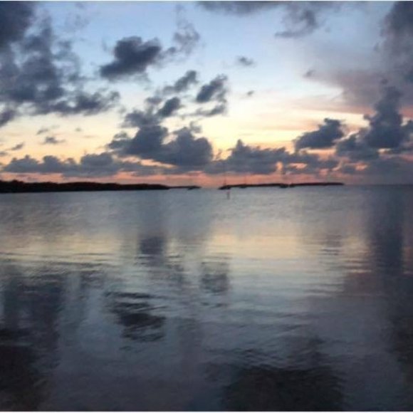 Profile Picture of Tammy Lachowicz (@tlc6466) on Poshmark