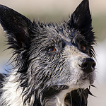 Profile Picture of Jose A. Ruiperez Valiente (@JoseARuiperez) on Flickr