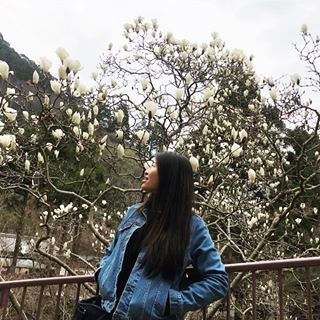 Profile Picture of Jing Pei (@jing.pei.7) on Facebook
