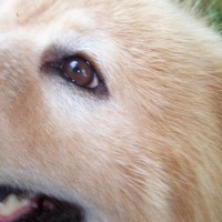 Profile Picture of Sean Bledsoe (@sean-bledsoe-2) on Quora