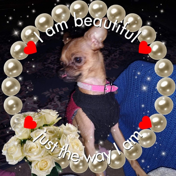 Profile Picture of Barb Macholl (@barbm707) on Poshmark