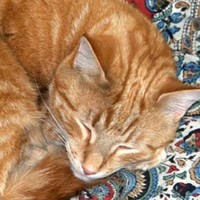 Profile Picture of Noel Graham (@noel-graham-4) on Quora