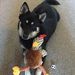 Profile Picture of Alan Nesbitt (@alann0218) on Pinterest