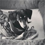 Profile Picture of Kim Guillot (@guillotkim) on Instagram