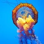 Profile Picture of Jason McGrew (@mcgrew1100) on Instagram