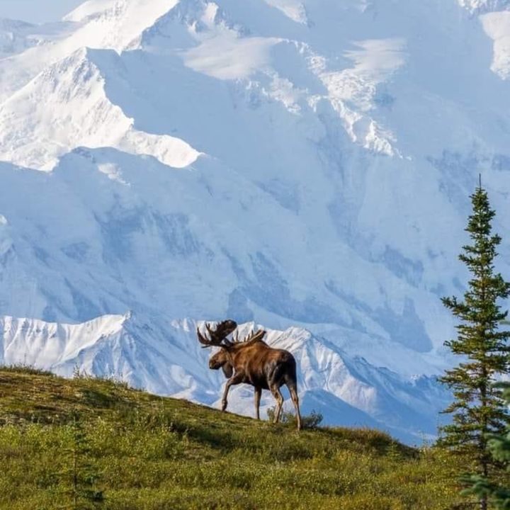 Profile Picture of Joshua Rawlins (@joshua.rawlins8) on Tiktok