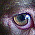 Profile Picture of Clare Dunn (@clarelouise37) on Flickr