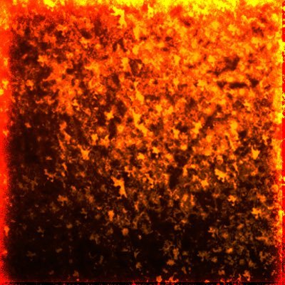 Profile Picture of Kyle Slocum (@Kyle_S_Slocum) on Twitter