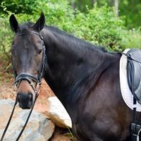 Profile Picture of Danielle Perry (@danielle-perry-46) on Quora