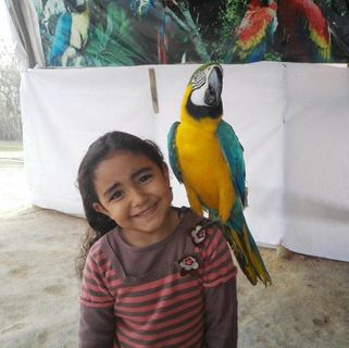 Profile Picture of Haneen Elattar (@haneen.elattar.5) on Facebook