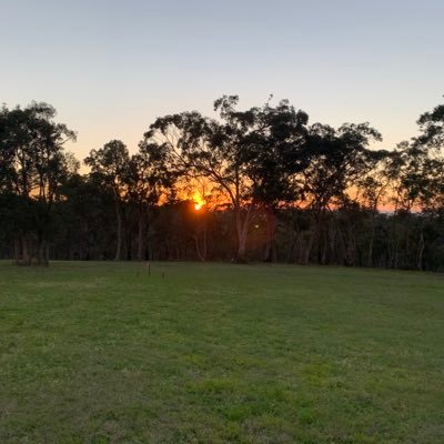 Profile Picture of Adrian Leach (@AdrianLeach12) on Twitter