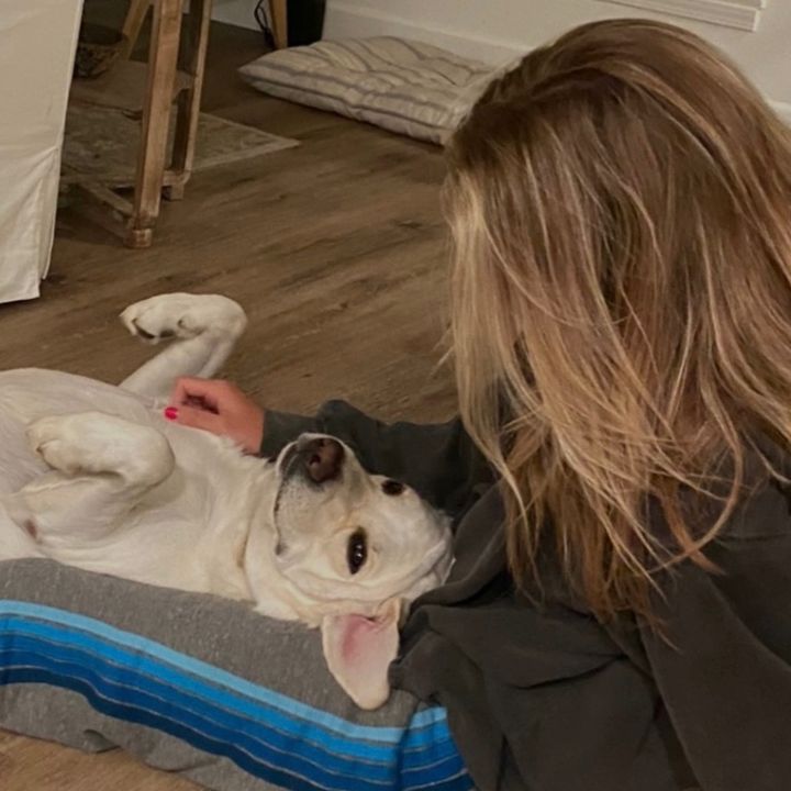 Profile Picture of kate (@katelynostrander_) on Tiktok