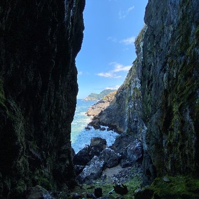 Profile Picture of Evan Selleck (@SelleckEvan) on Twitter