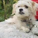 Profile Picture of Zachary Crouse (@crousezachary) on Instagram