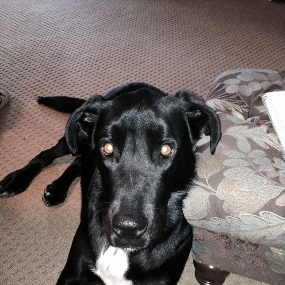 Profile Picture of Jean Munier (@jmunier69) on Poshmark