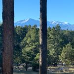 Joel Longshore - Instagram Profile Picture of Joel Longshore (@j_longshore) on Instagram