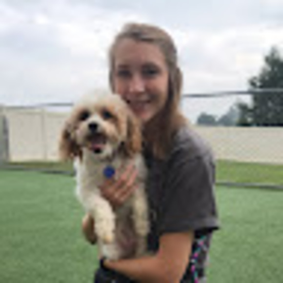 Jena Beamesderfer - Poshmark Profile Picture of Jena Beamesderfer (@j_beamesderfer) on Poshmark