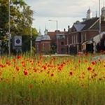 Profile Picture of Neil Tooley (@zog666) on Instagram