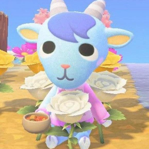 Profile Picture of Meredith Van sickle (@meredithvs) on Poshmark