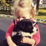 Profile Picture of Robert Scott McLelland (@rob_mclelland) on Instagram