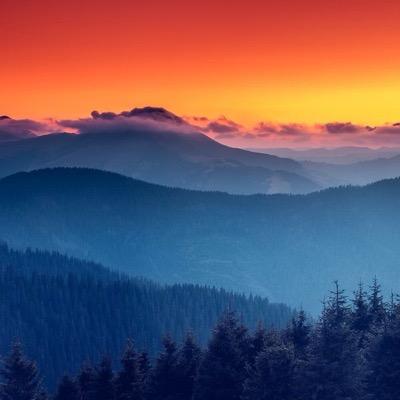 Profile Picture of Michael D. Runnels (@mdrunn) on Twitter