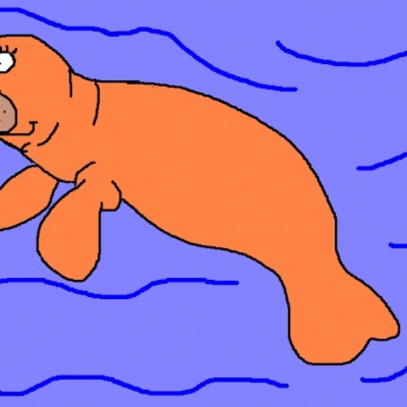 Profile Picture of Orange Manatee (@orange9manatee) on Poshmark