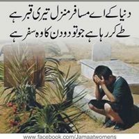 Profile Picture of Shahida Umar (@rebelnet7) on Pinterest