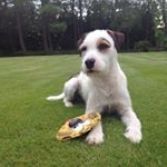 Profile Picture of Keith Shanks (@k.shanks.88) on Instagram