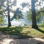 Profile Picture of Steve Creech (@stevecreech) on Instagram