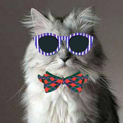 Profile Picture of Bogdan Popa (@bgdftw) on Twitter