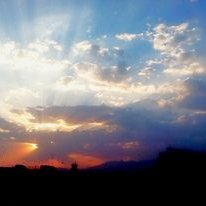 Profile Picture of Michael Melaku (@MichaelMelaku14) on Twitter