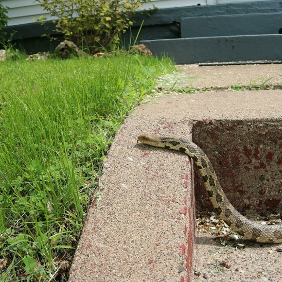 Profile Picture of Brittany Bendel (@brittanybendel) on Poshmark