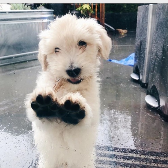 Profile Picture of Stacie Barry (@stacieb23) on Poshmark