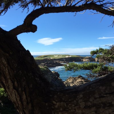 Profile Picture of Iain Colquhoun (@iain_colquhoun) on Twitter