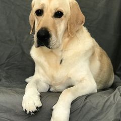 Profile Picture of Lynette McKee (@lynettemckee) on Tiktok