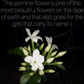 Profile Picture of Yasmina Boulahouache (@YasminaBoulaho3) on Twitter