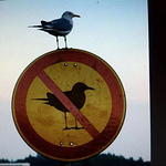 Profile Picture of Alexander Della Bella (@AMDB100) on Flickr