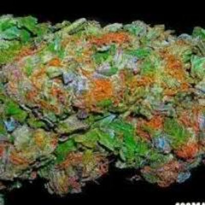 Profile Picture of Tom Weed (@weed_tom) on Twitter