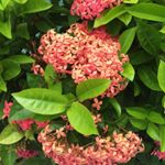 Profile Picture of Mojgan Abbassi Zadeh (@m_zadeh71) on Instagram