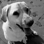 Profile Picture of Brian Crothers (@brian.crothers.184) on Facebook