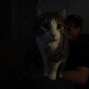 Profile Picture of Debra Holcomb (@debra.holcomb) on Myspace