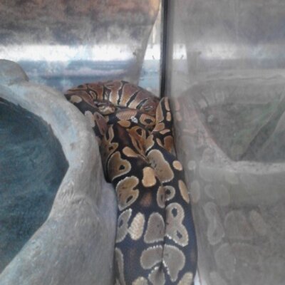 Profile Picture of Dustin Crafton (@dustincrafton32) on Twitter