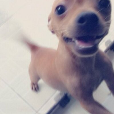 Profile Picture of Diamond Huynh (@diamondfb92) on Twitter