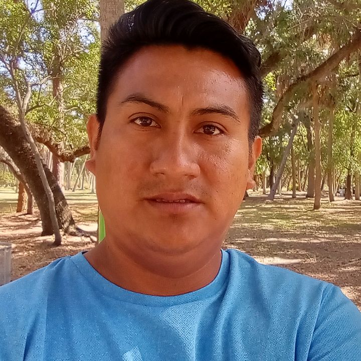 Profile Picture of Jacob Falcon  🇵🇪 🇺🇲 (@ronalfalcon1) on Tiktok