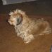 Profile Picture of Rick Studer (@rick.studer.1) on Facebook