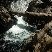 Profile Picture of Jesse Rice (@paperfacefullyloaded) on Youtube