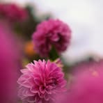 Profile Picture of Eunice Agnew (@Eunice-Agnew) on Facebook