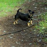 Profile Picture of Gerrit Dekker (@gerritdekker1007) on Instagram